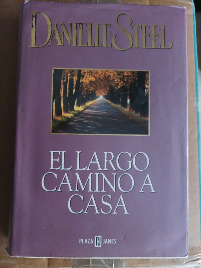 El largo camino a casa